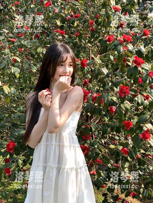 51吃瓜网 免费机会来了,51吃瓜网怎样轻松进得去?