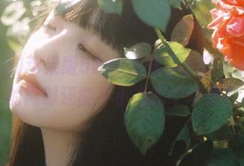 苹果版52cg上线了，是不是吃瓜的同时还能不小心吃个苹果？