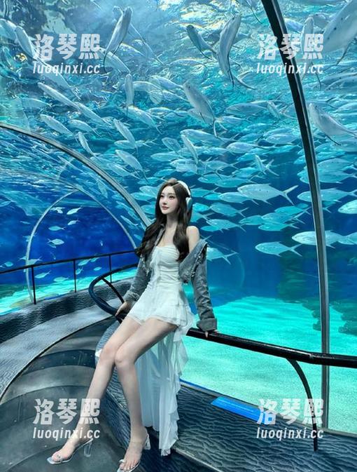 黑料不打烊 这个“入口”太吸引人了,简直是黑料不打烊的新传送门!