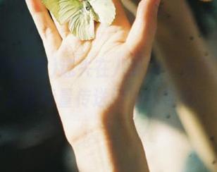 迷失在八卦中？随便走，黑料正能量传送门为你导航！