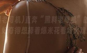 直奔“黑料老司机”的入口，好奇得想捧着爆米花看场大戏。